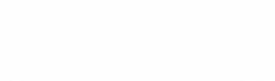 logo-partner-light logo-partner-light